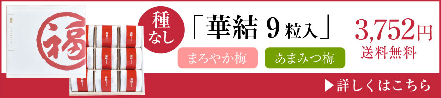華結9粒種無し梅干し