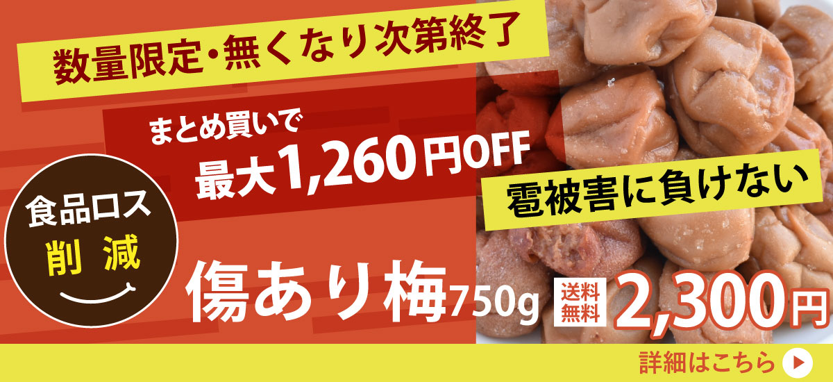 まとめ買いで1260円OFF！ひょう被害に負けない・傷あり梅