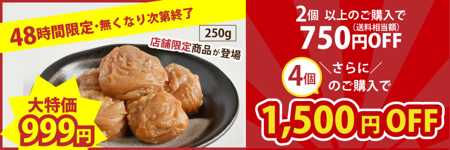 Bパック_900-300.jpg