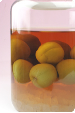 ブランデー梅酒1週間後