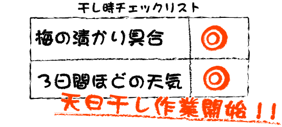 天日干しチェック項目