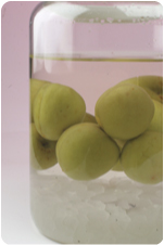 ジン梅酒1週間後