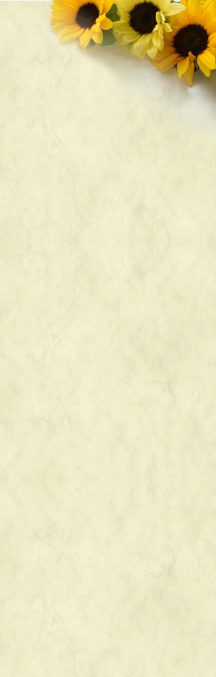 ひまわりの背景画像