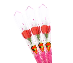 カーネーションの画像