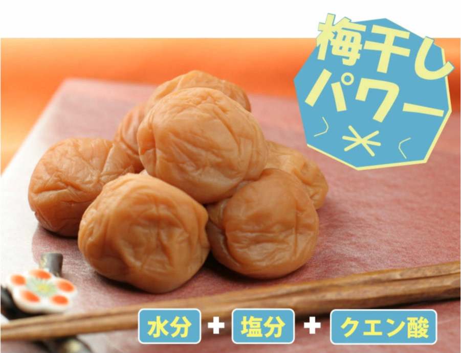 梅干しパワー！水分+塩分+クエン酸