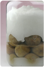 梅ジュース1週間後