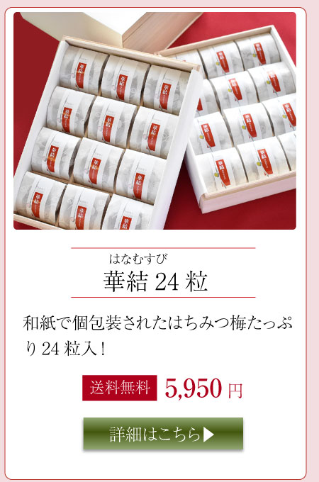 華結24粒入り