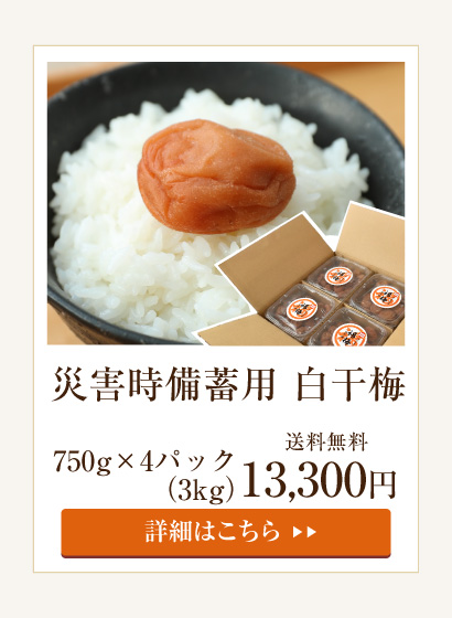 災害備蓄用白干梅