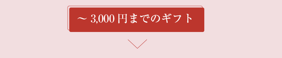 3,000円までのぎふと