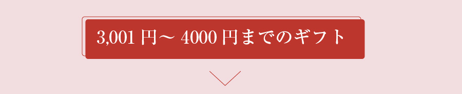3,001円～4,000円までのぎふと