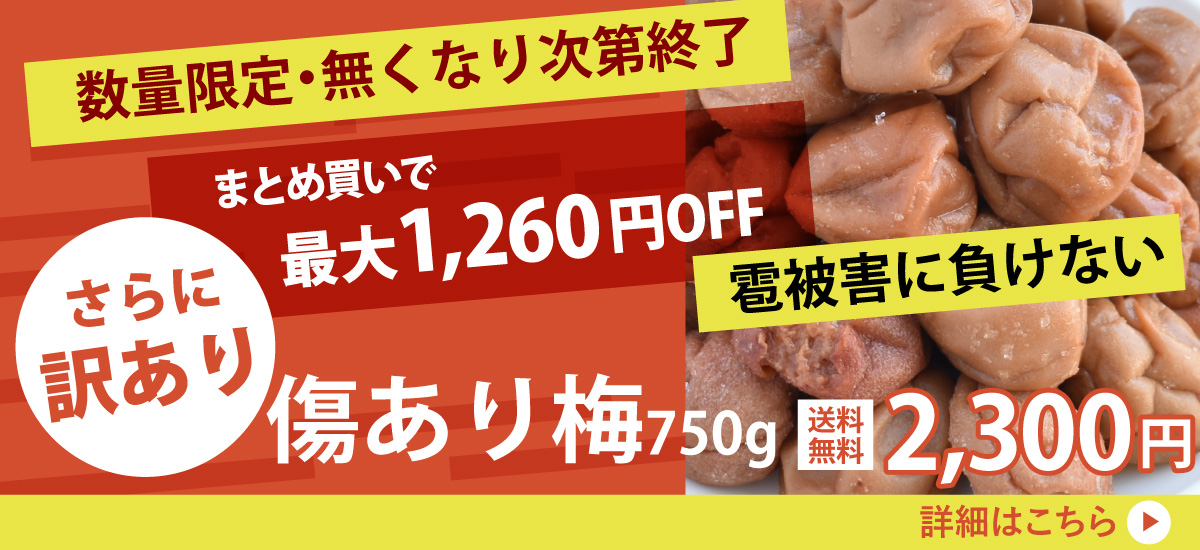 まとめ買いで1260円OFF！ひょう被害に負けない・傷あり梅