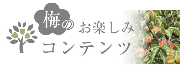 梅にまつわるコンテンツ