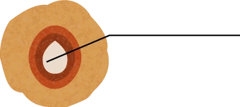 仁のイメージ画像