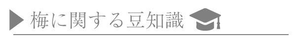 梅に関する豆知識