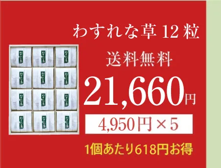 わすれな草6の商品画像