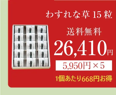 わすれな草15の商品画像