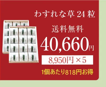 わすれな草24の商品画像