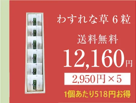 わすれな草6の商品画像