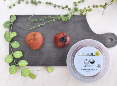 オーガニック（無添加・無農薬）