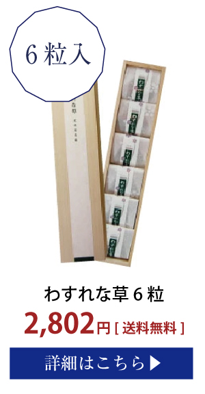 わすれな草6粒入