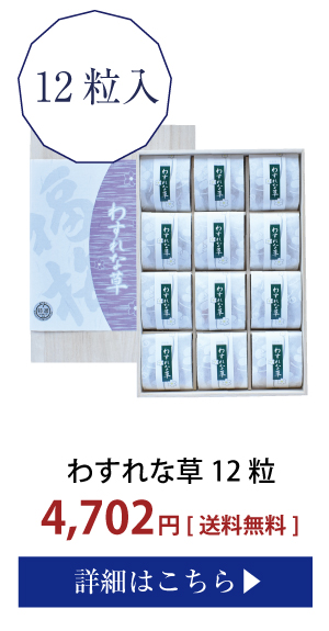わすれな草12粒入