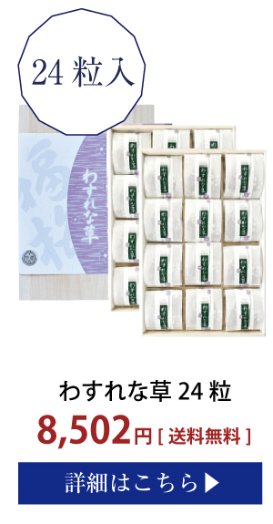 わすれな草24粒入