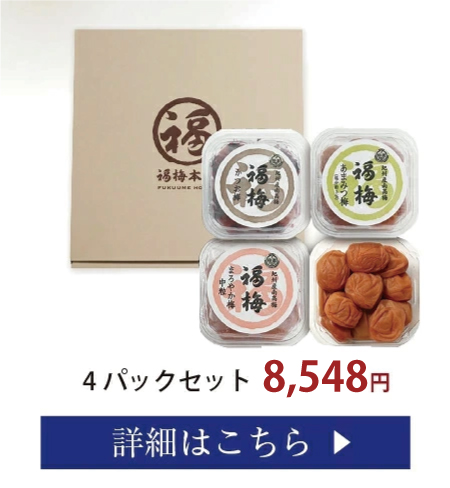 お好み4パックセット