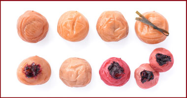 お試しセット送料無料