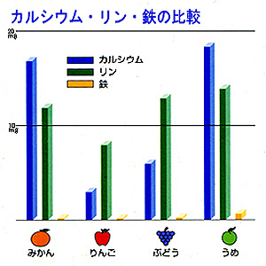 カルシウム・リン・鉄の比較