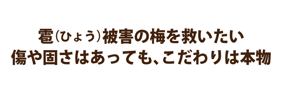 最大50％OFF！値上げ前のBIGセール