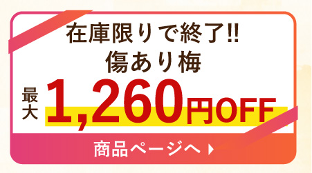 4半期に1度の大感謝うめ～セール