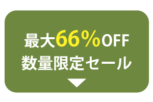 最大66％OFF数量限定SALE