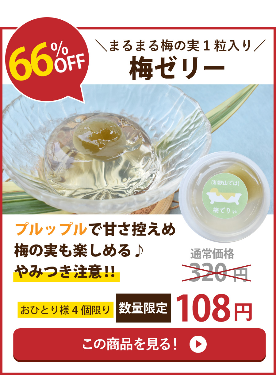 梅ゼリー66％OFF