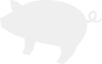 黒豚のイラスト