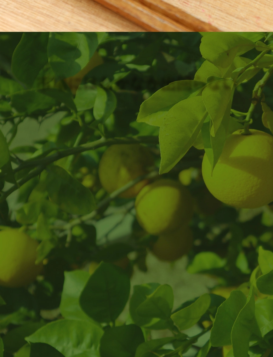 じゃばらの背景画像