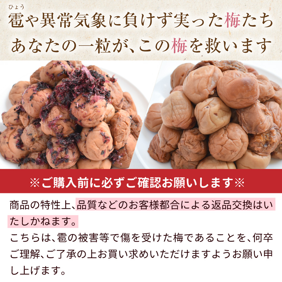 紀州産南高梅　訳あり傷あり梅750g