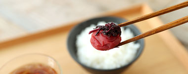 しそ漬梅うす塩味（塩分9％）