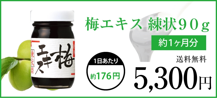 梅エキス練状90gの商品画像