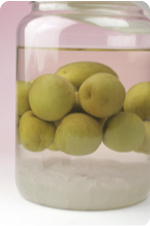 ホワイトリカー梅酒2週間後