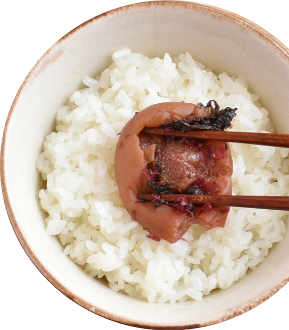 ご飯にかつお梅を乗せた写真