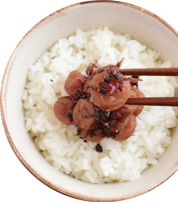ご飯にかつお小梅を乗せた写真