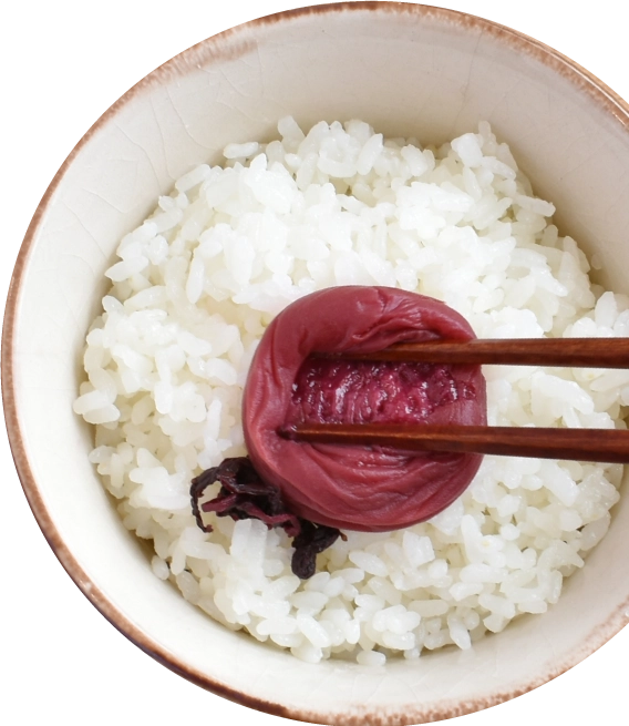 ご飯にしそ漬うすしお味を乗せた写真