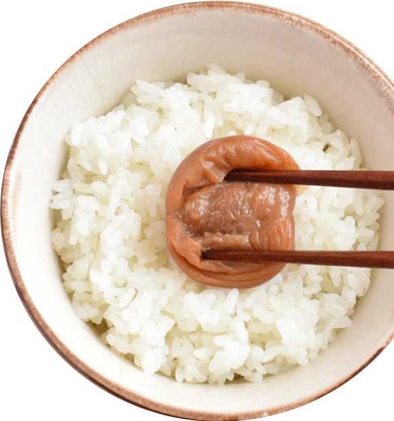 ご飯に白干梅を乗せた写真