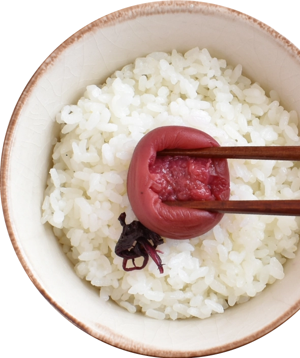 ご飯にしそ漬け梅を乗せた写真