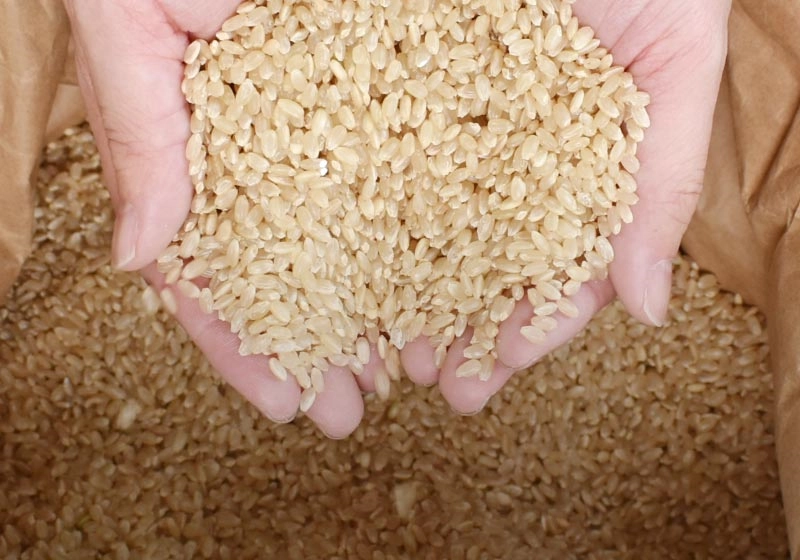 玄米の画像