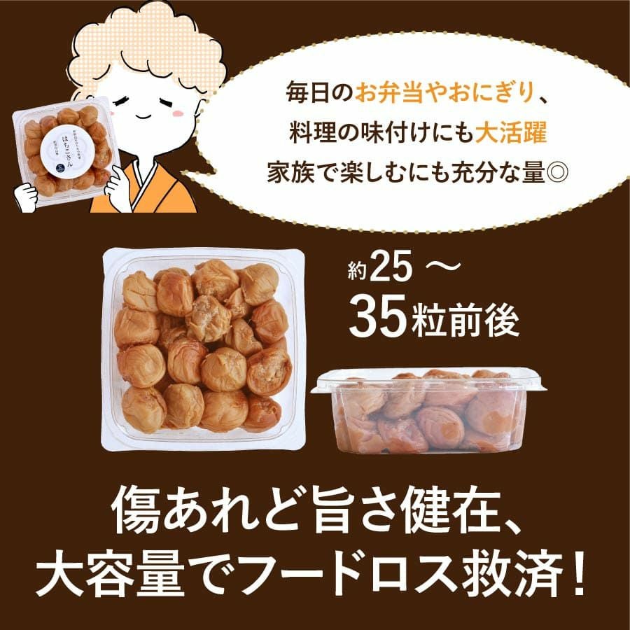 訳あり 紀州南高梅 はちみつ梅 梅 つぶれ梅干し800g | 紀州梅干し専門
