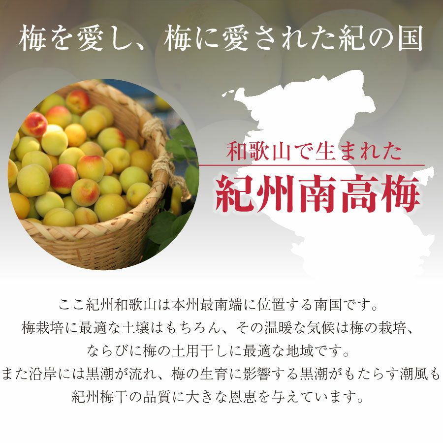 特選紀州南高梅【木樽（きだる）1.2kg】 | 紀州梅干し専門店 福梅本舗