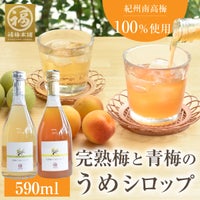 紀州南高梅使用　青梅と完熟梅のうめシロップ