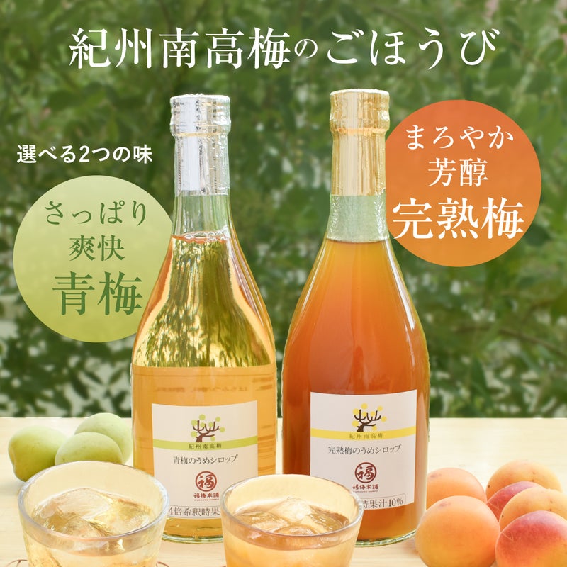 紀州南高梅使用　青梅と完熟梅のうめシロップ