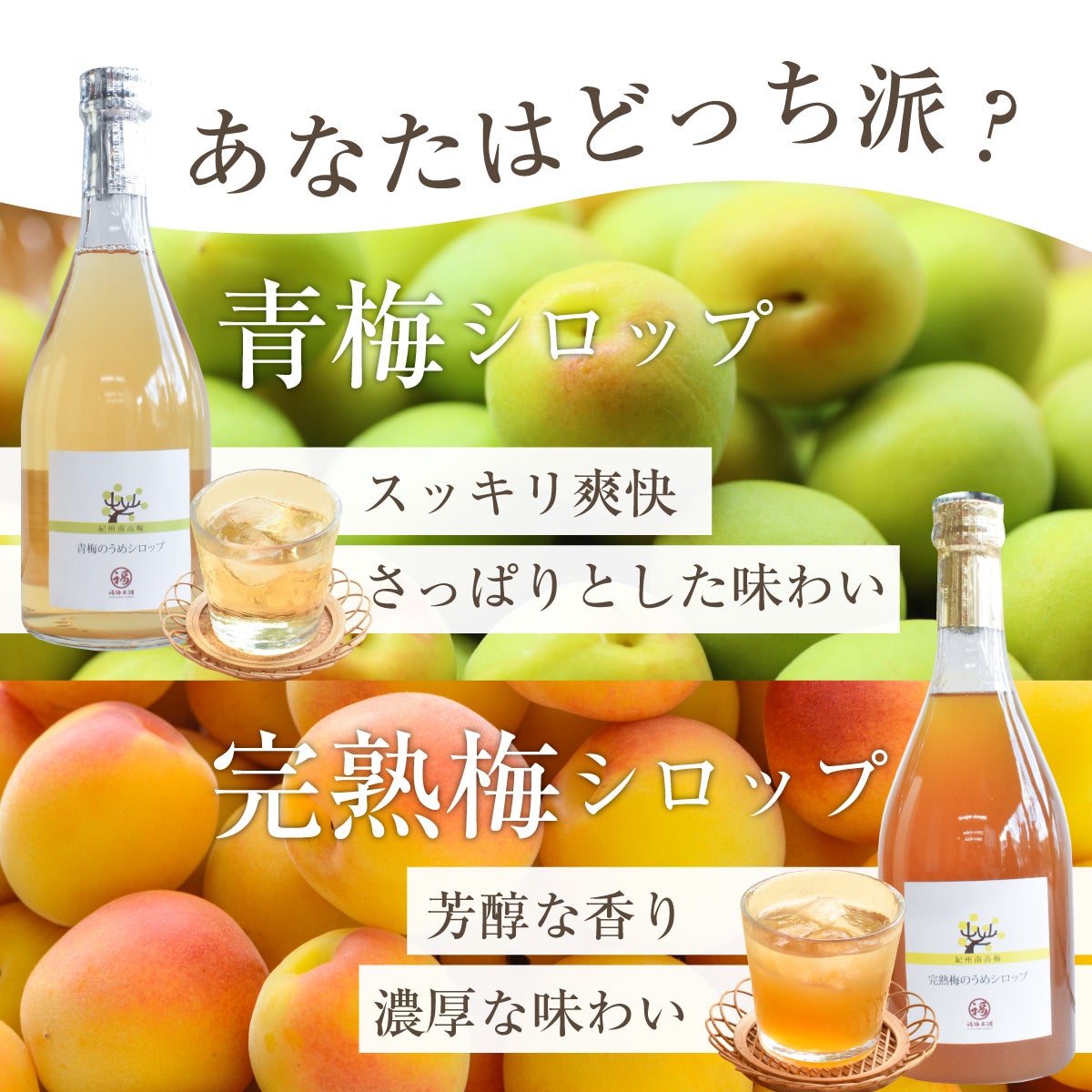 紀州産南高梅使用 うめシロップ 2本入セット（青梅590ml・完熟梅590ml）